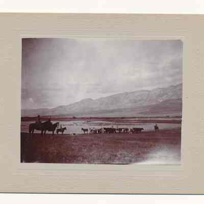 Print, Photographic