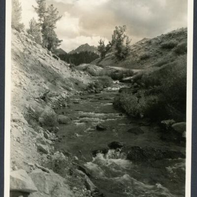 Print, Photographic
