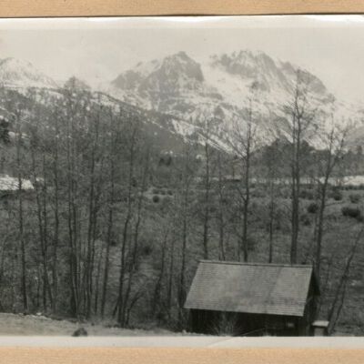 Print, Photographic
