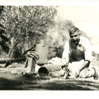 Print, Photographic