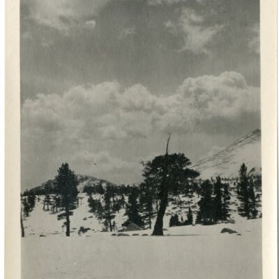 Print, Photographic