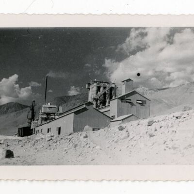 Print, Photographic