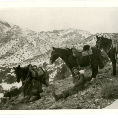 Print, Photographic