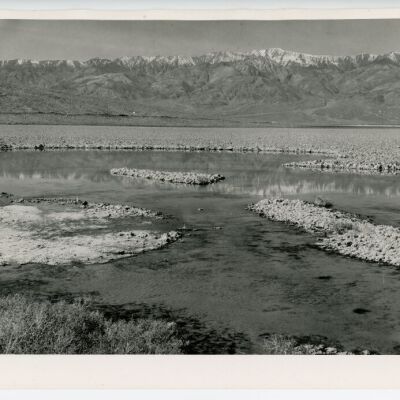 Print, Photographic
