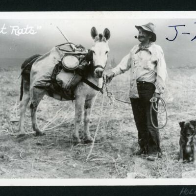 Print, Photographic