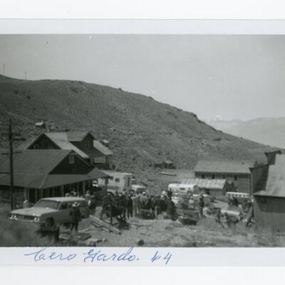 Print, Photographic