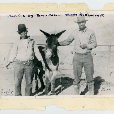 Print, Photographic