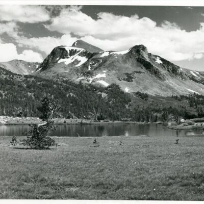 Print, Photographic
