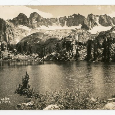 Print, Photographic