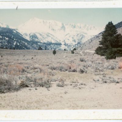 Print, Photographic