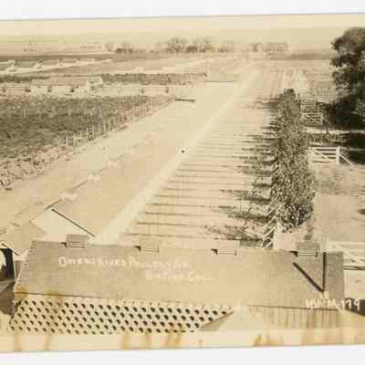 Owens River Poultry Co., Big Pine, Cal.