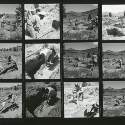 Print, Photographic