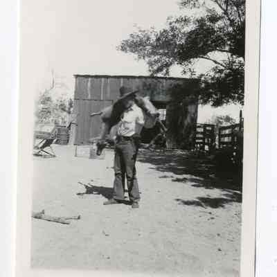 Print, Photographic