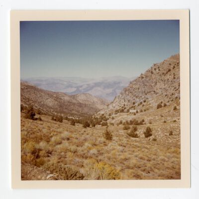 Print, Photographic