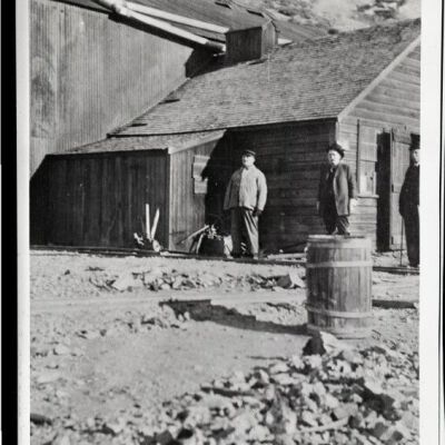 Print, Photographic
