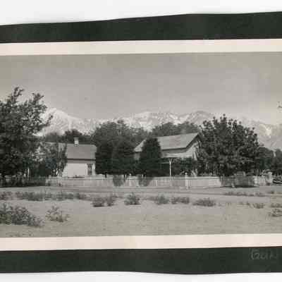 Print, Photographic