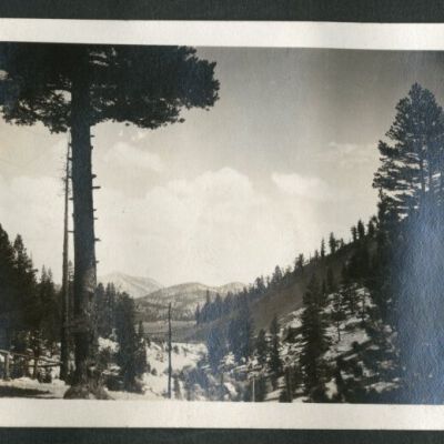 Print, Photographic