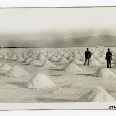 Print, Photographic