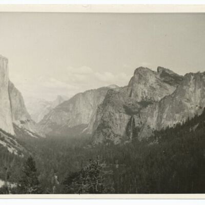 Print, Photographic