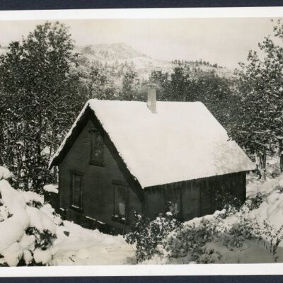 Print, Photographic