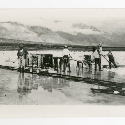 Print, Photographic