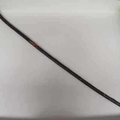 Cane