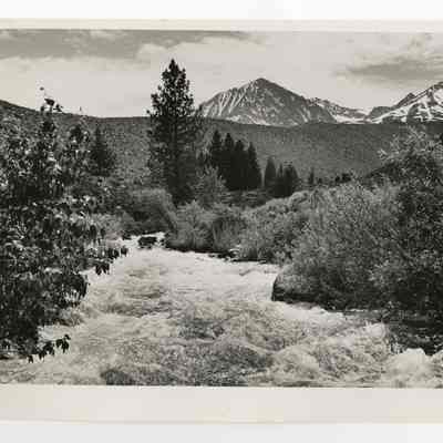 Print, Photographic
