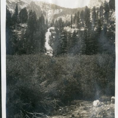 Print, Photographic