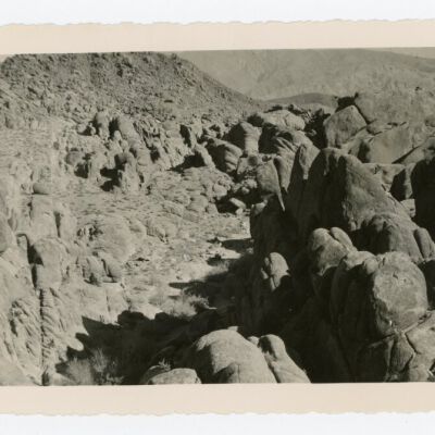 Print, Photographic