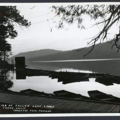 Print, Photographic