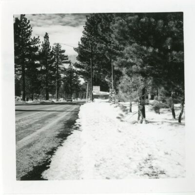 Print, Photographic