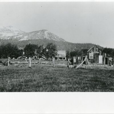 Print, Photographic