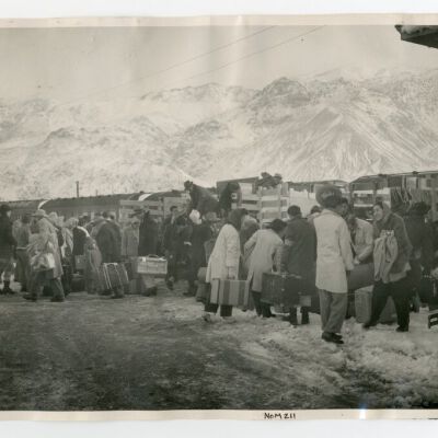 Print, Photographic