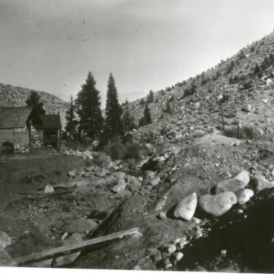 Print, Photographic