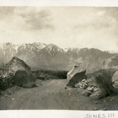 Print, Photographic