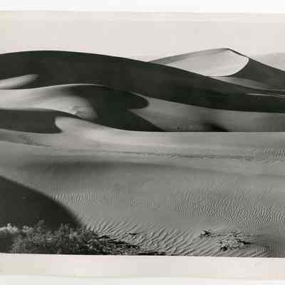 Print, Photographic