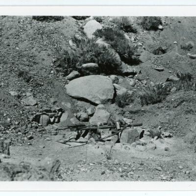 Print, Photographic