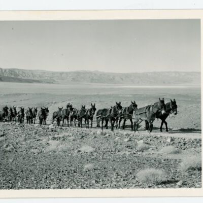 The 20 Mule Team Crossing Panamint Valley
