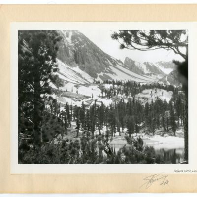 Print, Photographic