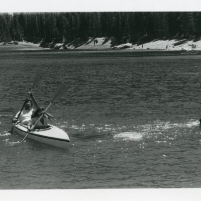 Print, Photographic