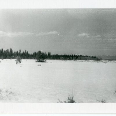 Print, Photographic
