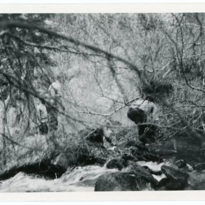 Print, Photographic