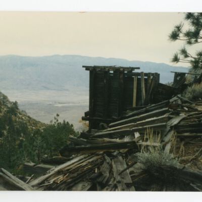 Print, Photographic