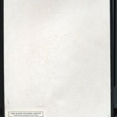Resolution: 100 dpi