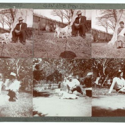 Print, Photographic