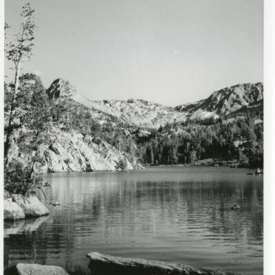 Print, Photographic