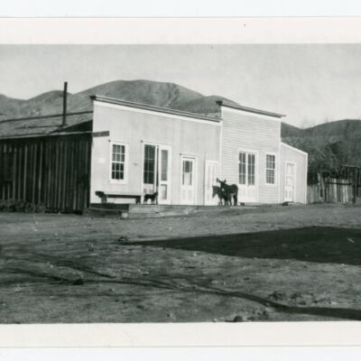 Print, Photographic