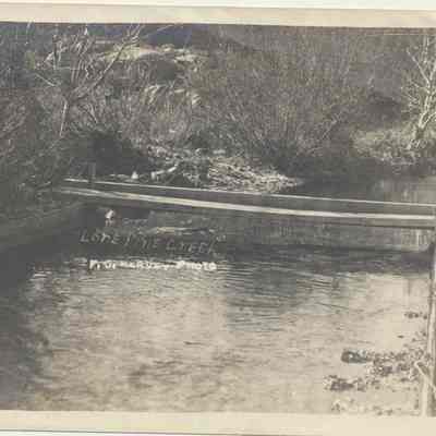 Lone Pine Creek