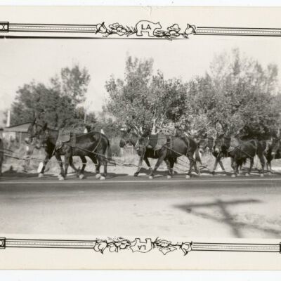 Print, Photographic