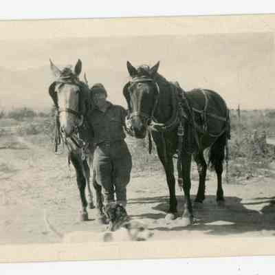 Print, Photographic